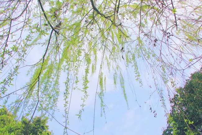 广安市建筑工程技术学校招生专业有哪些
