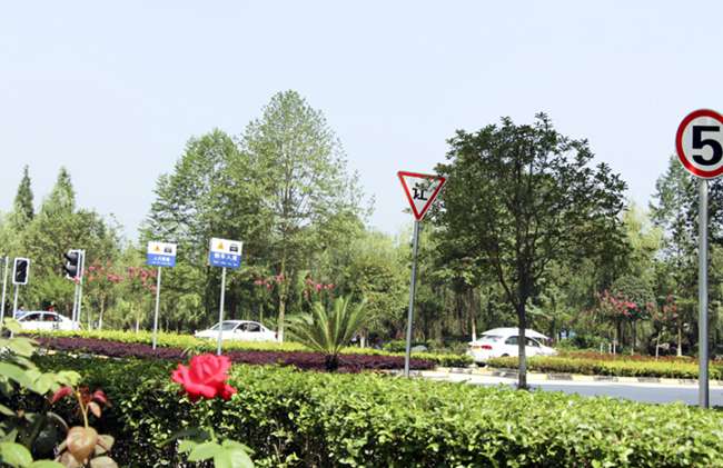 四川2025年计算机学校有什么专业