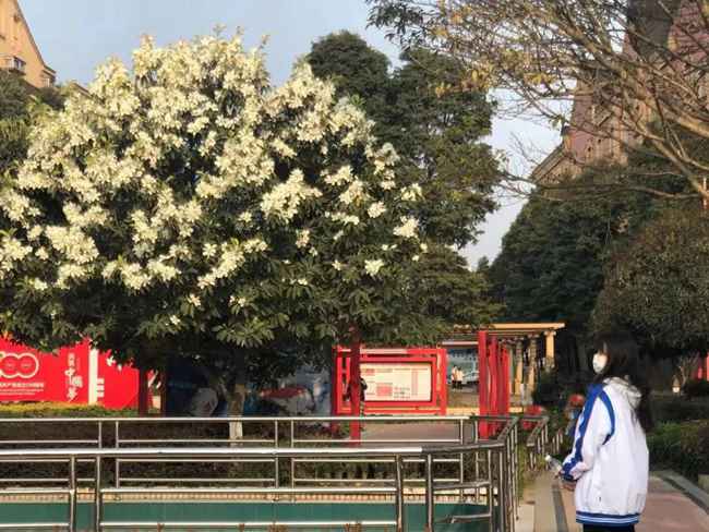 上犹中学录取分数线(2025年参考)