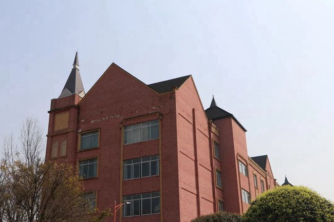 成都七中高新校区网络直播班费用是多少